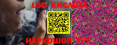 крисы Будённовск