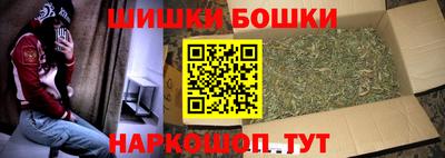 крисы Будённовск