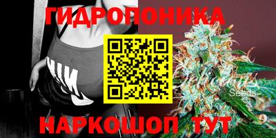 крисы Будённовск