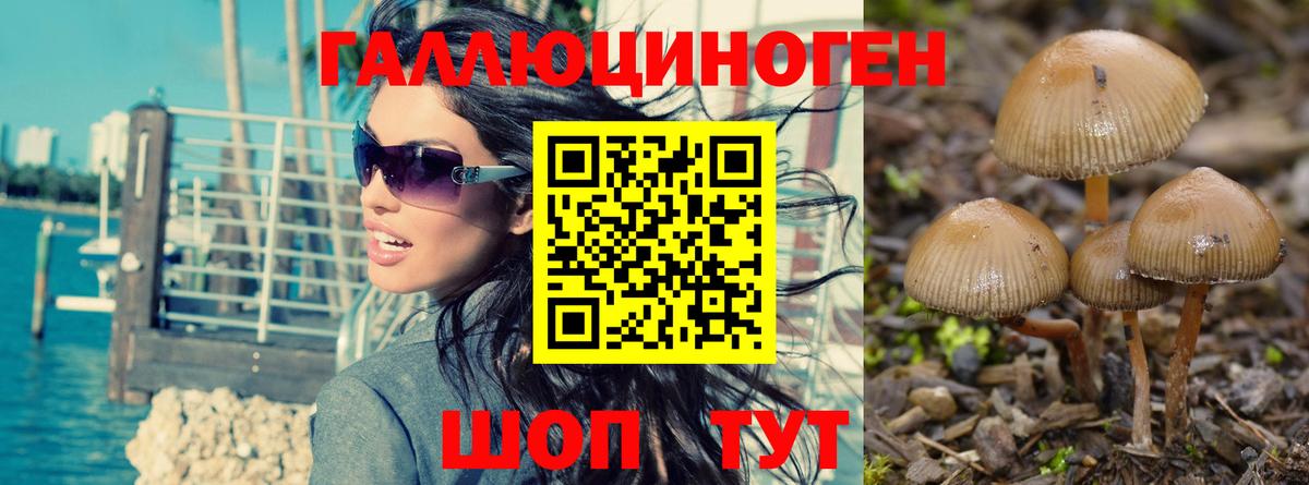 Петропавловск-Камчатский  Галлюциногенные грибы прущие грибы  Вход с VPN  Псилоцибиновые грибы Psilocybine cubensis 